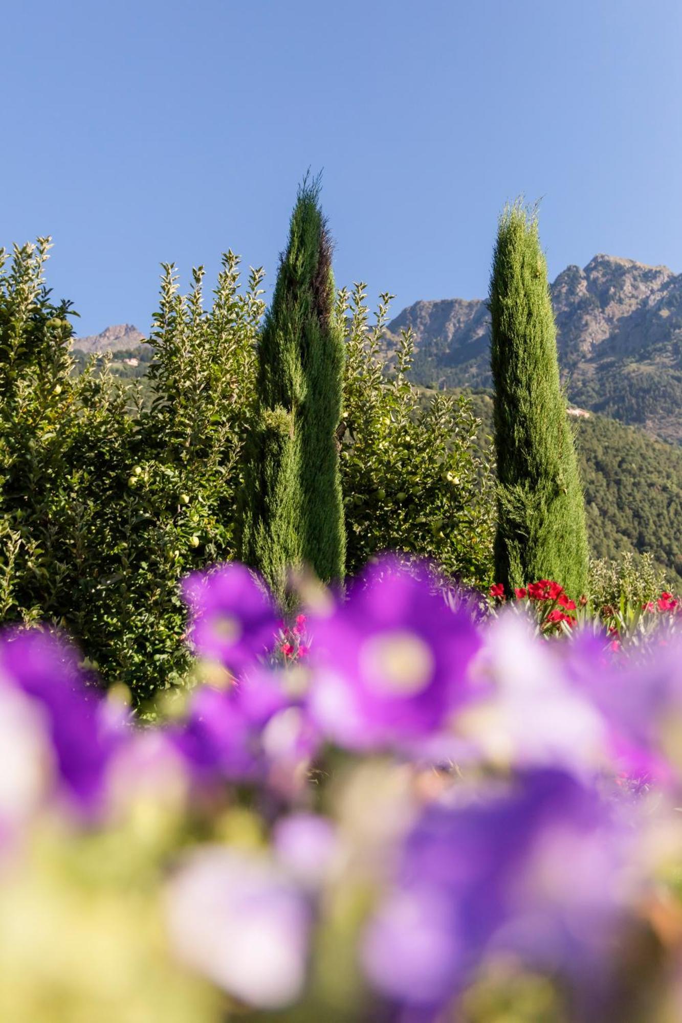 لاغوندو Ferienwohnungen St Hippolyt Mit Hallenbad المظهر الخارجي الصورة